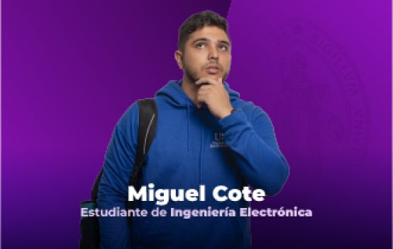 Programa  Ingeniería Electrónica